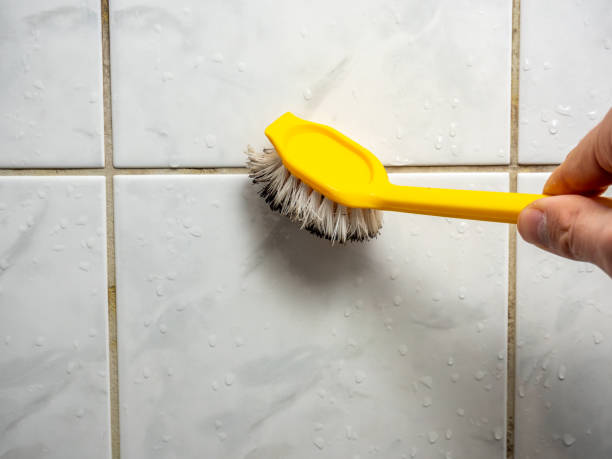 Best Certified Mold Removal  in Kailua, HI