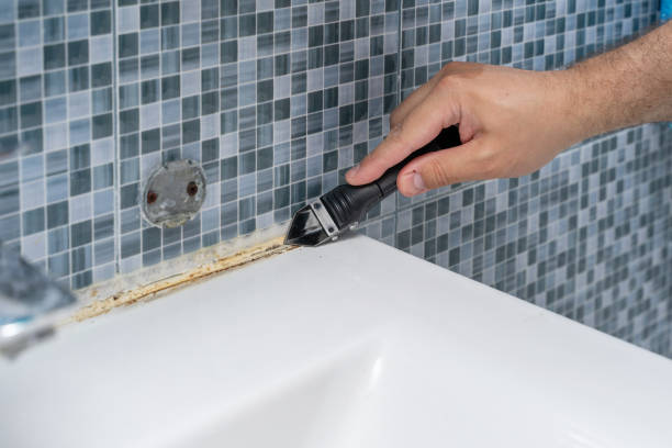 Best Home Mold Removal  in Kailua, HI